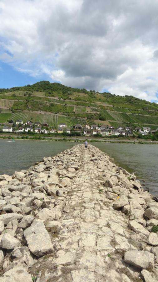 "Haus Schloss Fuerstenberg" Bacharach Kültér fotó